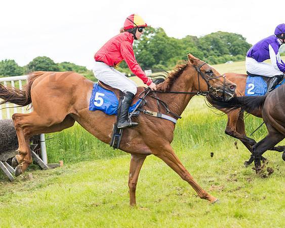 Race 5 - Restricted  (75 of 136)