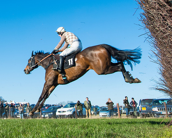 Race 6 - Restricted  (168 of 291)