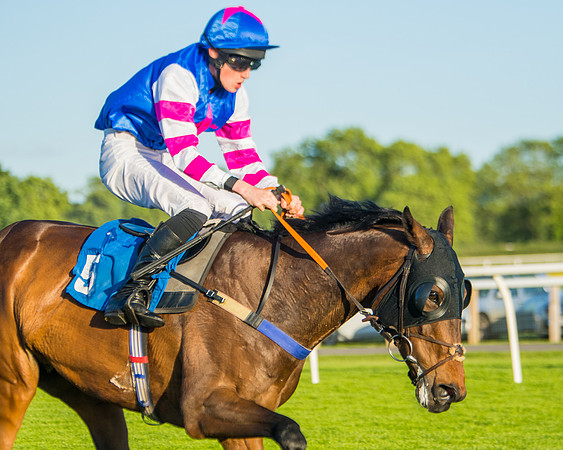 Race 5 - White Swan Hotel Handicap (46 of 80)