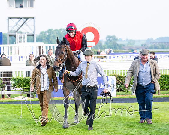 Race 5 - Peter Wright Handicap (89 of 117)