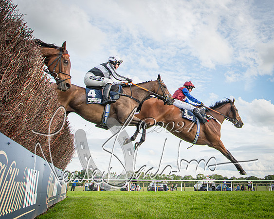 Race 2 - Olly Murphy Racing Stratford Ladies Open (68 of 111)