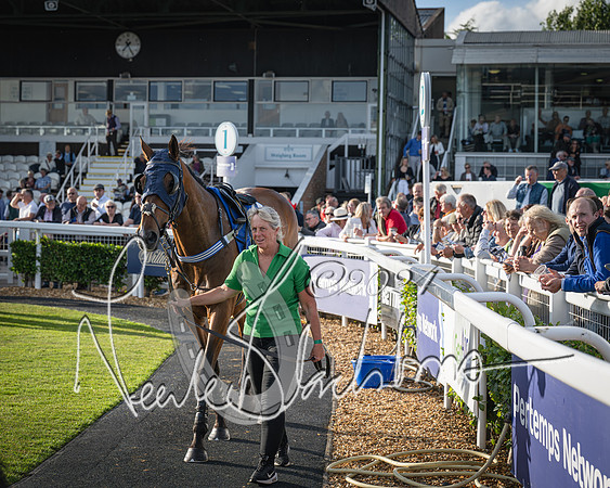 Race 4 - Peretemps Stratford Foxhunters (14 of 168)