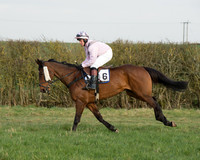 Race 6 - Open Maiden Race (20 of 99).jpg
