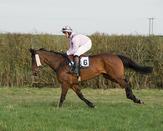 Race 6 - Open Maiden Race (20 of 99).jpg