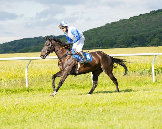 Race 6 - Open Maiden (56 of 227)