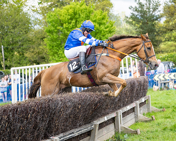 Race 5  - Maiden  (77 of 84)