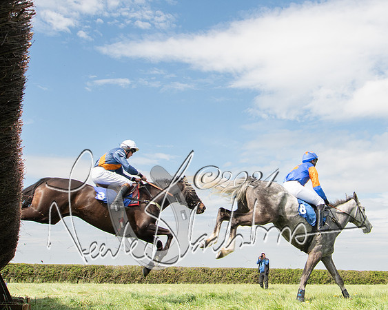 Race 2 - The Elliott of London maiden race (92 of 137)