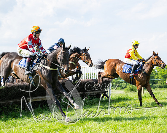 Race 5  - Maiden race 2m5F Div-1 (131 of 197)