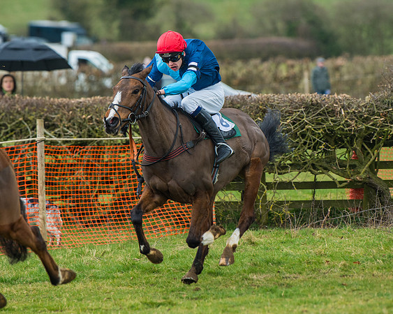 Pony Race 3 (43 of 67)