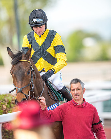 Race 2  -  Intermediate Point to Point Hunters' Steeple Chase (49 of 277)