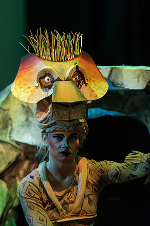 Lion King (39 of 484).jpg
