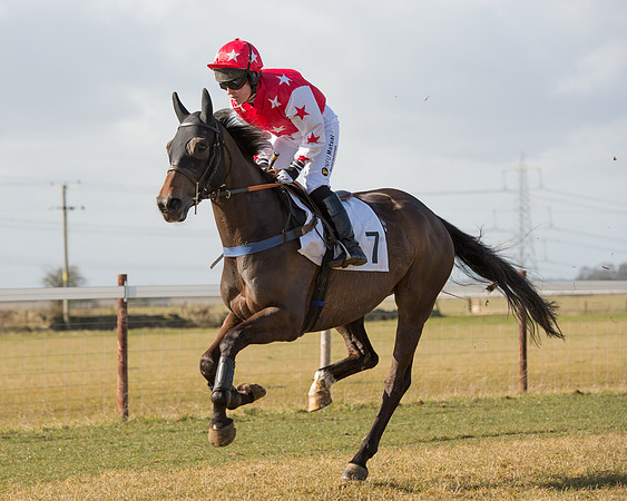 Race 1 - 4-5-6 Maiden (55 of 119).jpg