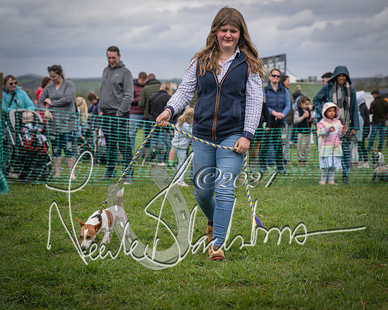 Bicester - Dog Show (52 of 106)