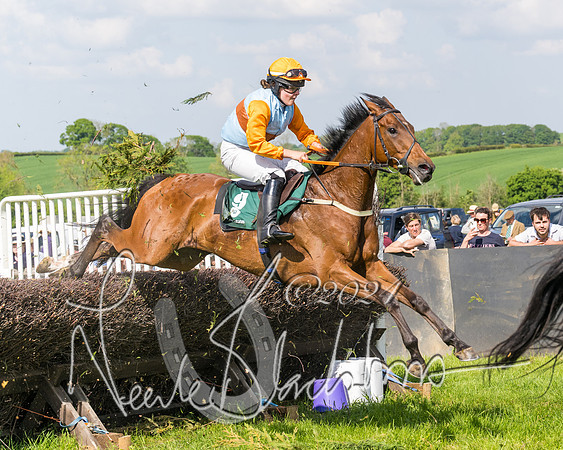 Race 4 - PPORA Novice Riders Final  (236 of 362)