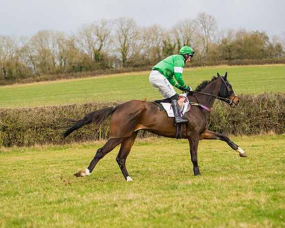 Race 2 - Open Maiden (26 of 128)