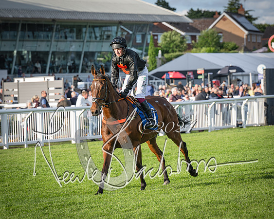 Race 4 - Peretemps Stratford Foxhunters (28 of 168)
