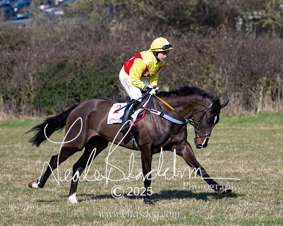 Race 1 - Maiden (50 of 188)