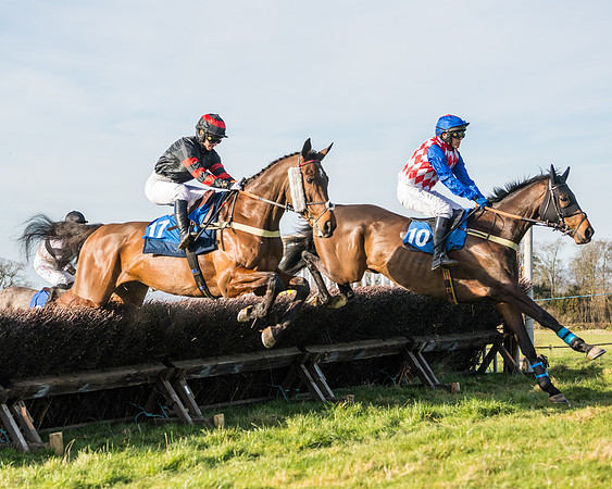 Race 5 - Restricted (22 of 146)