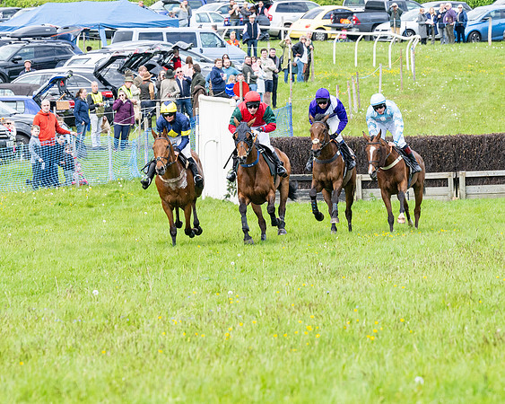 Race 2 - Veteran Horse (37 of 80)
