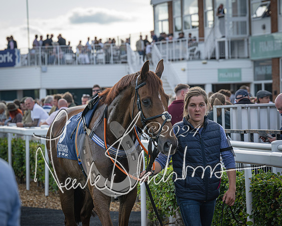 Race 3 - The pointtopoint.co.uk champion novices’ Hunter Chase (10 of 140)