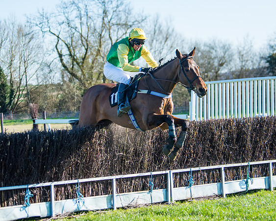 Race 5 - Novice riders (162 of 201)