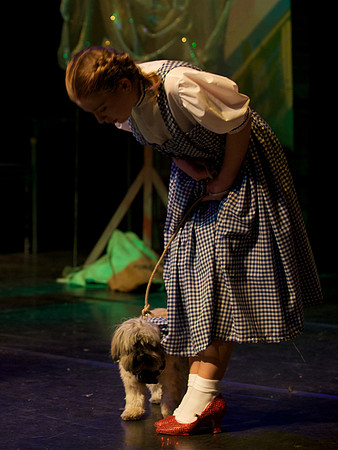 The Wizard of OZ -  85