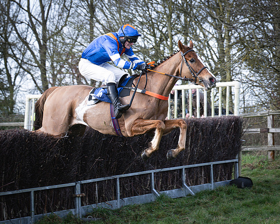 Race 2 - Maiden (117 of 145)