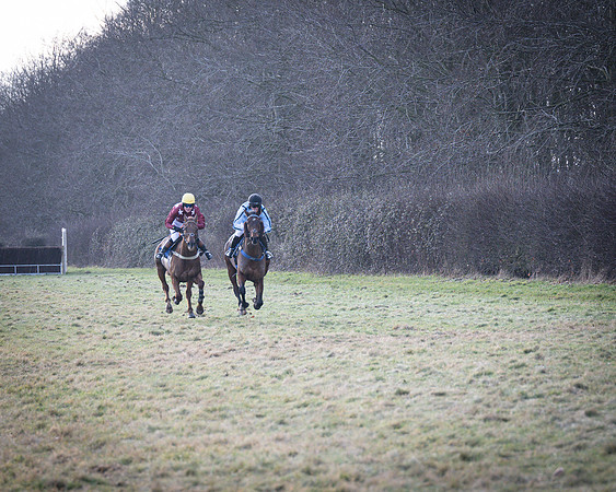 Race 6 - PPORA Novice Riders (46 of 95)