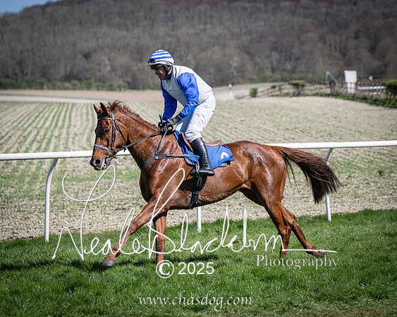 Race 2 - The Maiden (23 of 118)