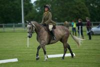 Jackson Dressage 12