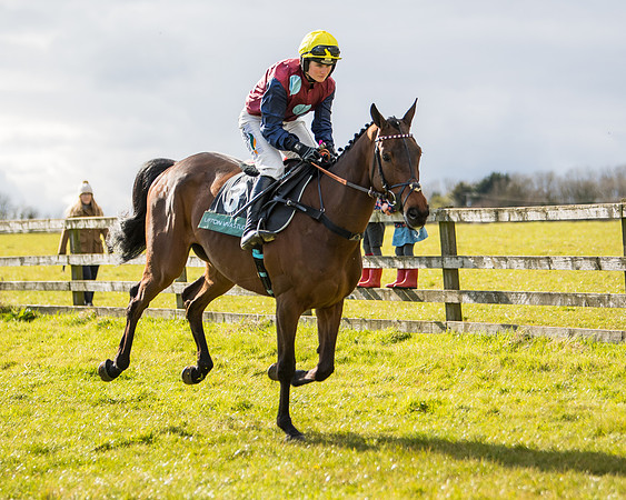 Race 5 - Restricted  (5 of 118)