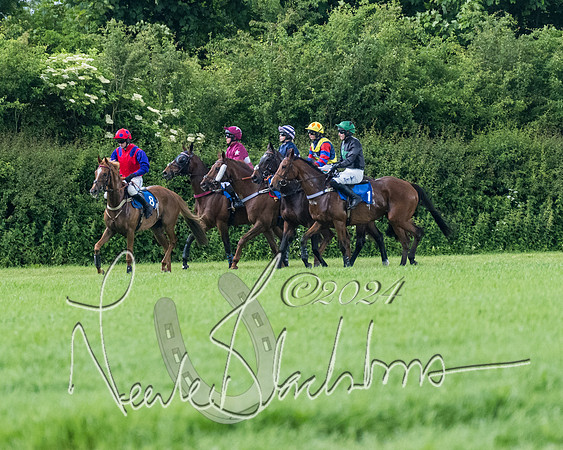 Race 3 - Conditions (143 of 367)
