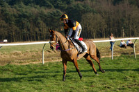 Races 5 - Restricted 17