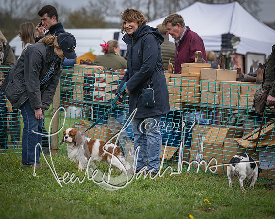 Bicester - Dog Show (53 of 106)