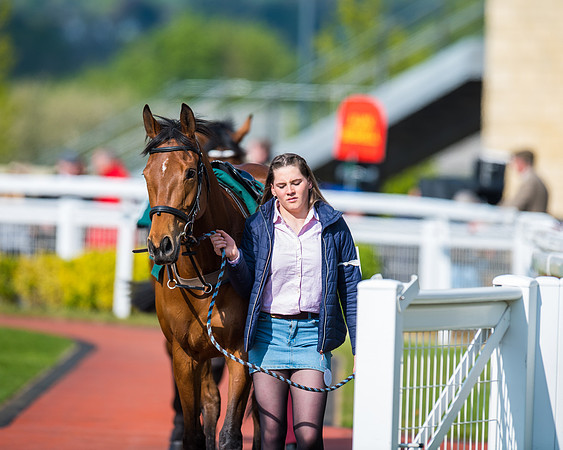 Race 1 - The open Hunter chase  (26 of 95)