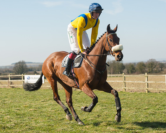 Race 1 Div 1 - 2M4F Maiden (39 of 117).jpg