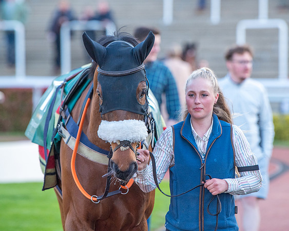 Race 7 - Glos Hussars  (21 of 245)