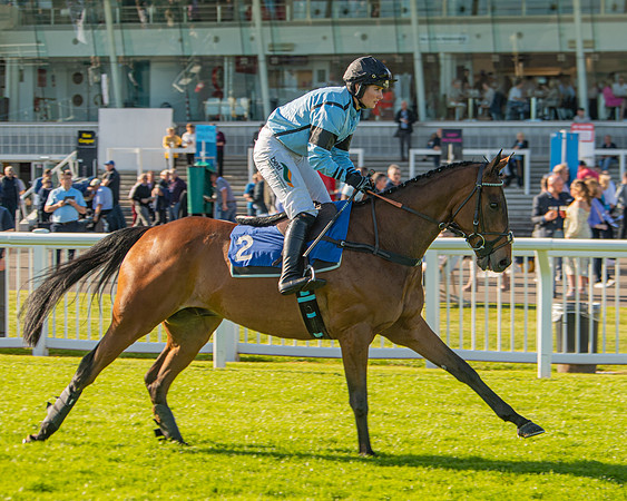 Race 2 - Nimrod Ladies Open (5 of 82)