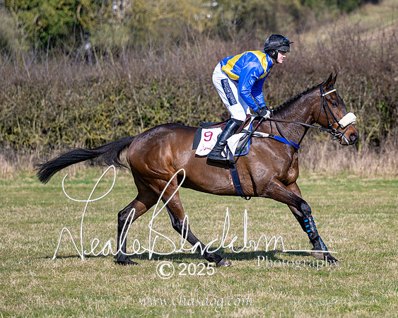 Race 1 - Maiden (57 of 188)