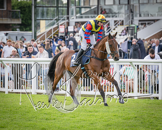Race 2 - Olly Murphy Racing Stratford Ladies Open (39 of 111)