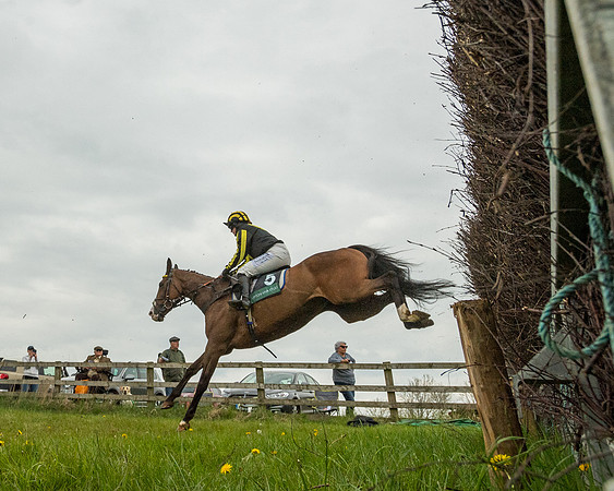 Race 2 - Jockey Club ROR veteran Horse (66 of 104)