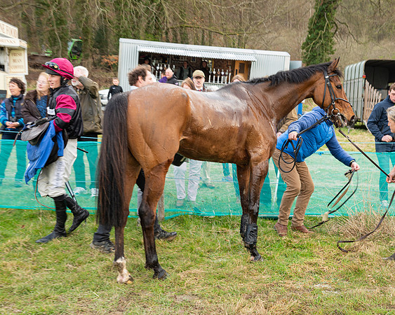 Race 6 - The Restricted Race (174 of 200)