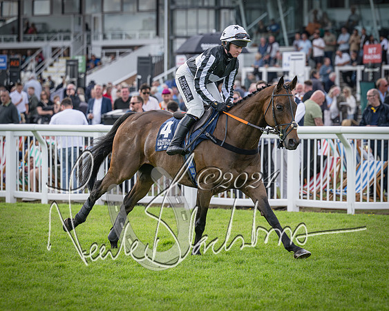 Race 2 - Olly Murphy Racing Stratford Ladies Open (33 of 111)