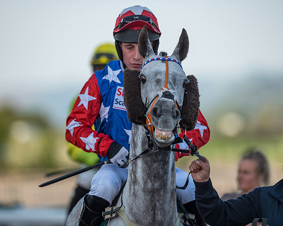 Race 3 - KTDA Hunters' Steeple Chase  (78 of 226)