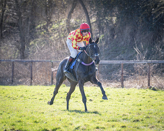 Race 2 - Restricted (21 of 63)