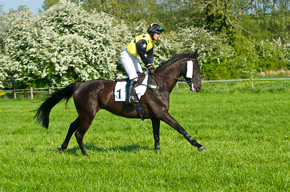 GR6_9615