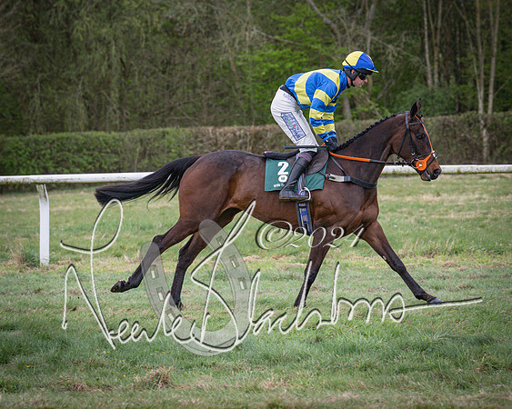 Race 7 - The Jockey Club maiden race for Mares and Fillies only (17 of 96)