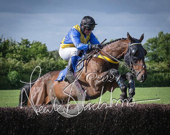 Race 6 - Thorn Plant Hire Maiden Race (48 of 129)