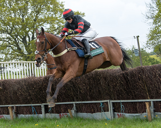 Race 2 - Jockey Club ROR veteran Horse (52 of 104)