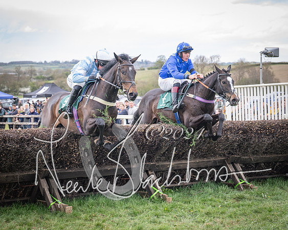 Race 2 - Tattersalls Cheltenham 4 year old Maiden (40 of 85)